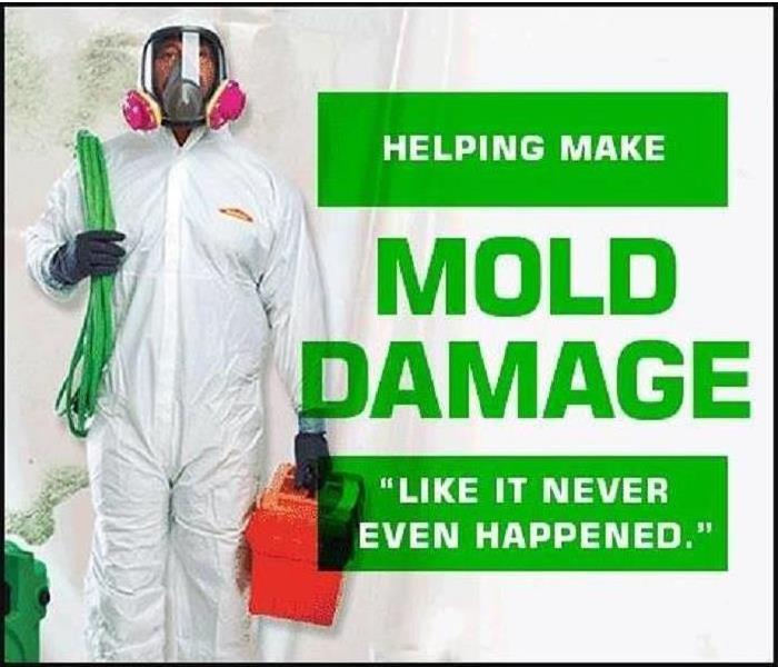 worker ready to take on a mold damage mitigation job
