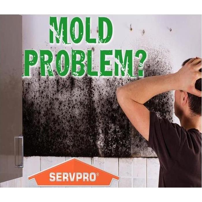 Mold on Wall is no Problem for SERVPRO